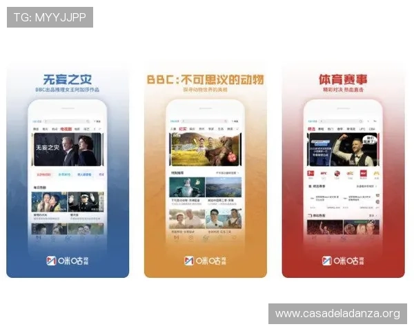 全面解析PA视讯中文官方网站的功能特色与用户体验提升方案